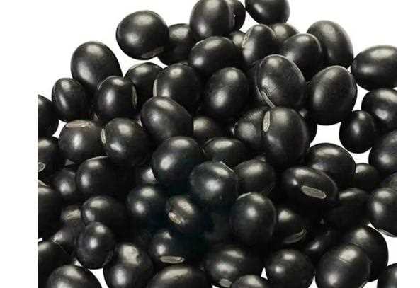 购买黑豆怎么选购？黑豆怎么保存不易有虫？