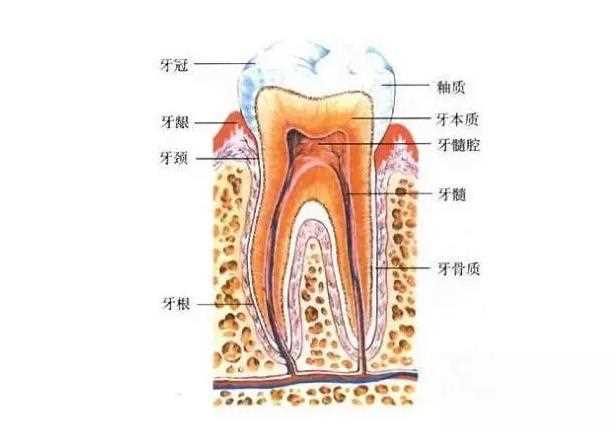 牙髓炎一阵一阵疼怎么回事 急性牙髓炎有哪些症状