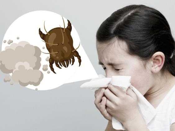 过敏性鼻炎有特效药吗 过敏