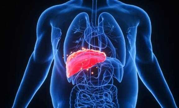 脂肪肝发展成肝癌的几率大吗