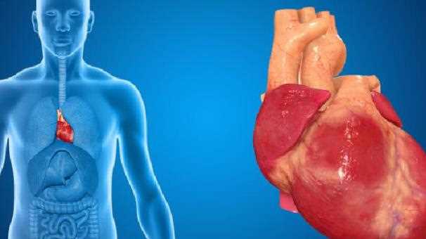 心脏瓣膜变薄怎么办 心脏瓣膜缺血怎么办