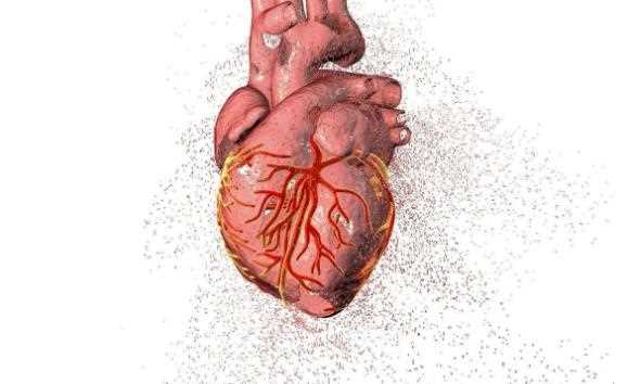 心脏瓣膜病怎么治疗 心脏瓣膜病如何护理