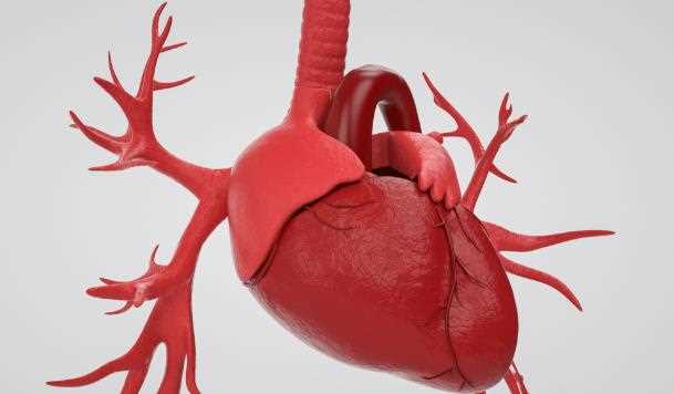 心脏瓣膜置换术后可以生育吗 心脏瓣膜术后吃哪些药