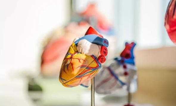 心脏瓣膜病会遗传吗 风湿性心脏瓣膜病会遗传吗