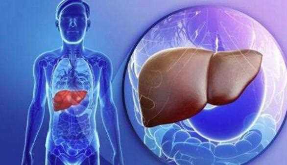 早期肝癌有哪些症状 早期肝有问题有哪些症状